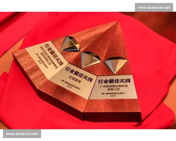 终结奖励机制的创新与实践探索：推动行业发展新动力